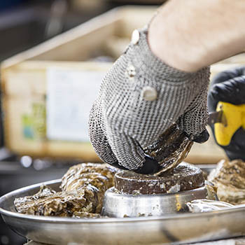 Oysters shucked to order at the Oyster Bar by the worlds fastest oyster shucker