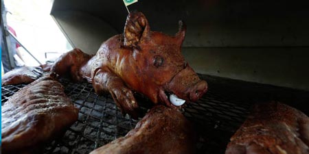 Suckling Pig on the Grill